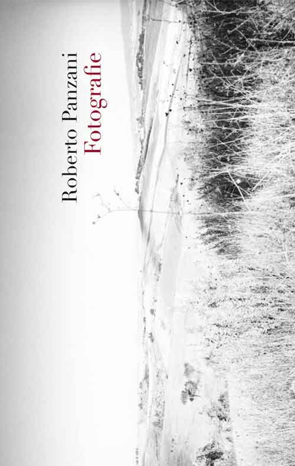Roberto Panzani. Fotografie. Ediz. illustrata