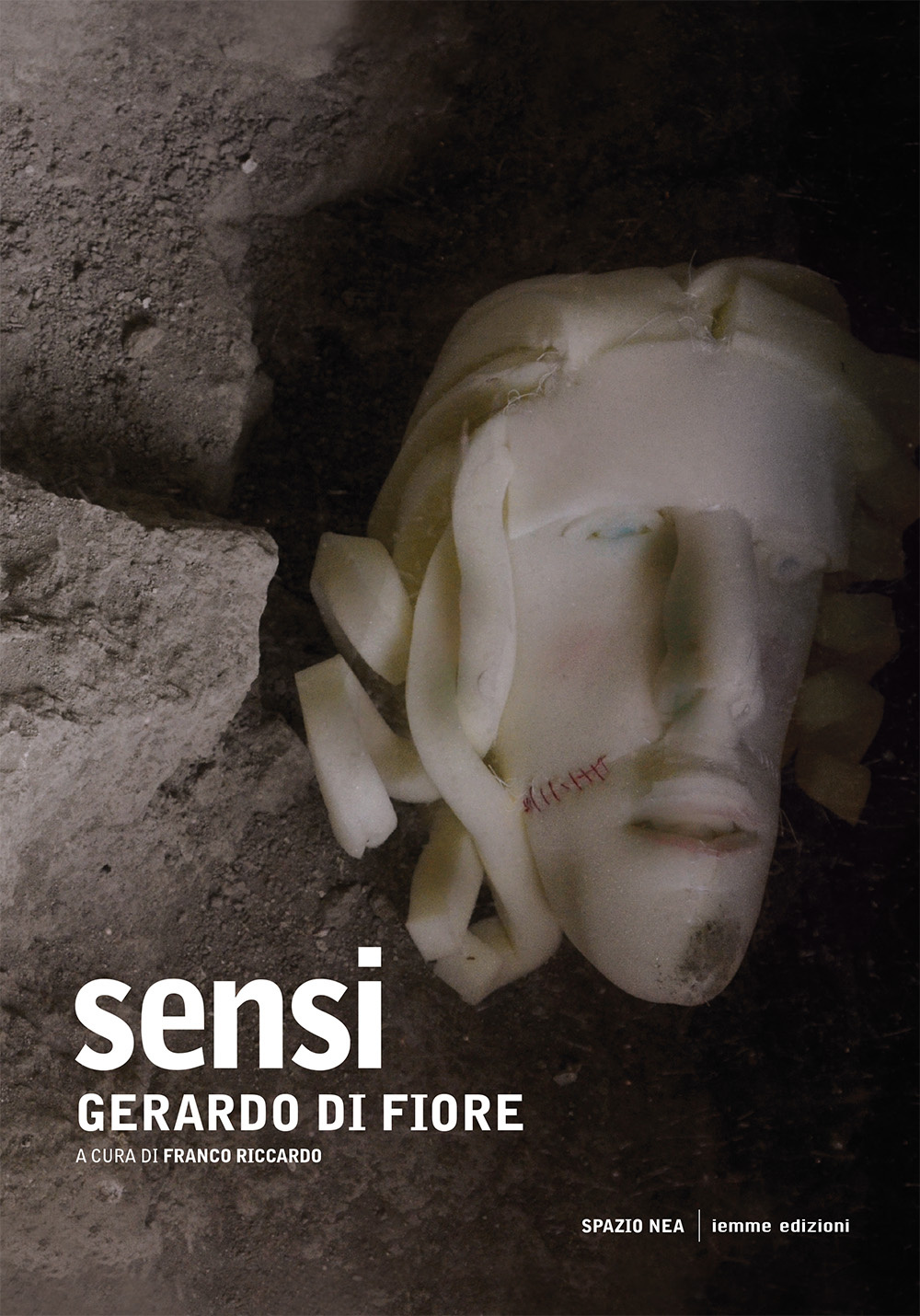 Sensi. Ediz. illustrata