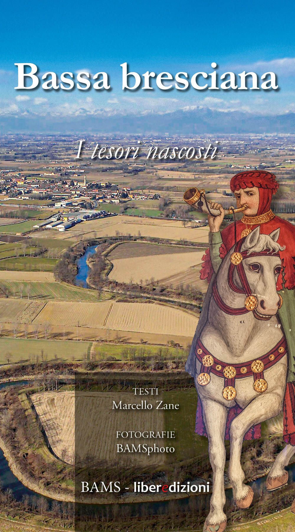 Bassa bresciana. I tesori nascosti. Ediz. a colori