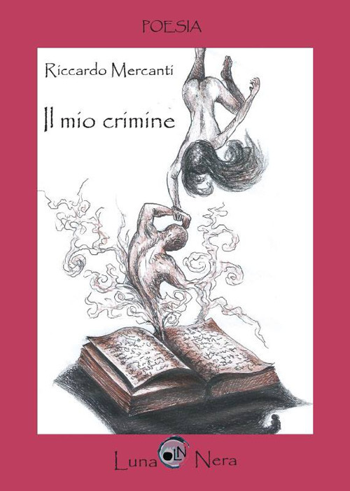 Il mio crimine