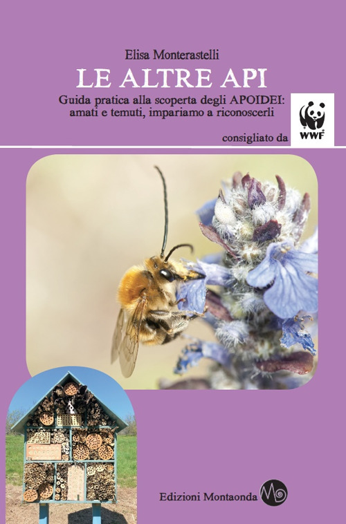 Le altre api. Guida pratica alla scoperta degli apoidei: amati e temuti, impariamo a riconoscerli