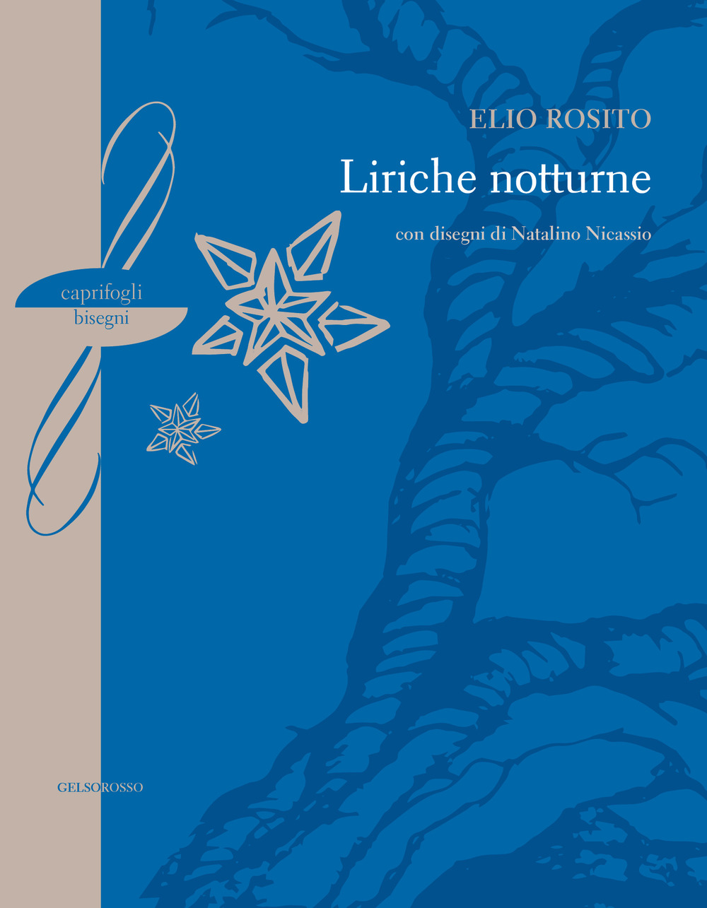 Liriche notturne