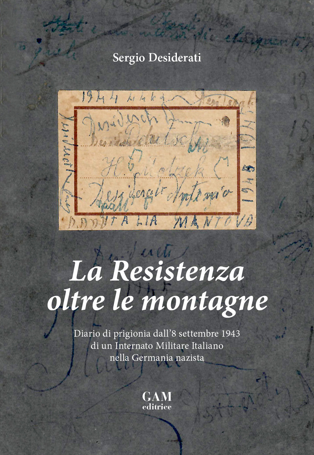 La Resistenza oltre le montagne. Diario di prigionia dall'8 settembre 1943 di un Internato Militare Italiano nella Germania nazista