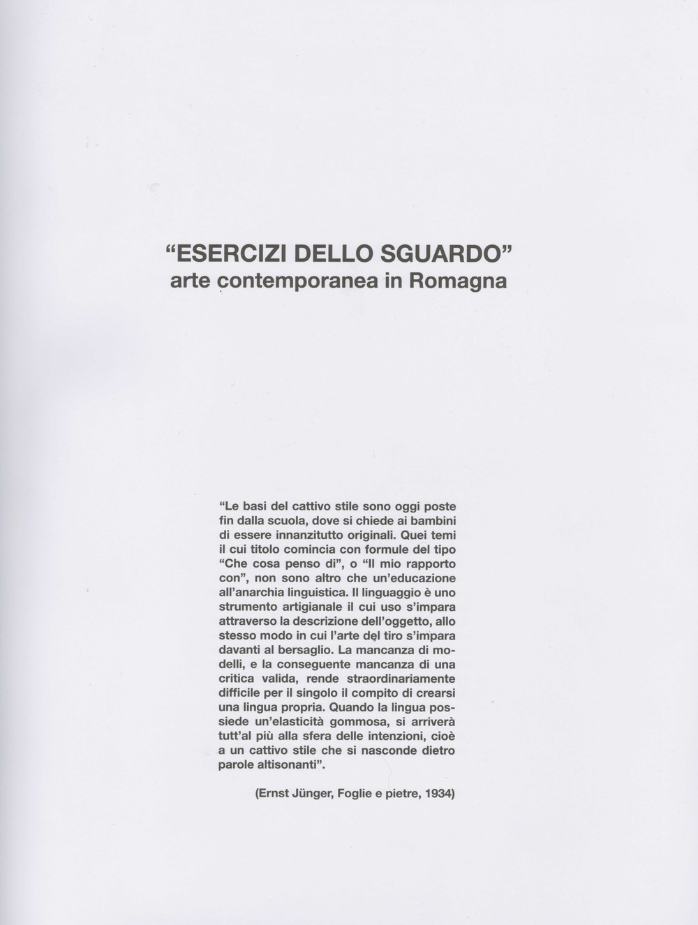 «Esercizi dello sguardo». Arte contemporanea in Romagna. Ediz. illustrata
