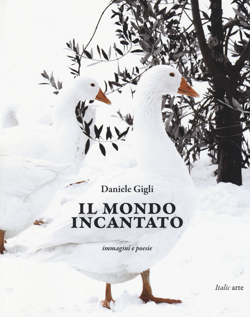 Il mondo incantato. Immagini e poesie. Ediz. illustrata