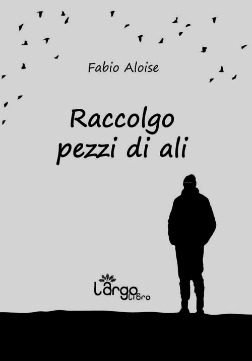 Raccolgo pezzi di ali