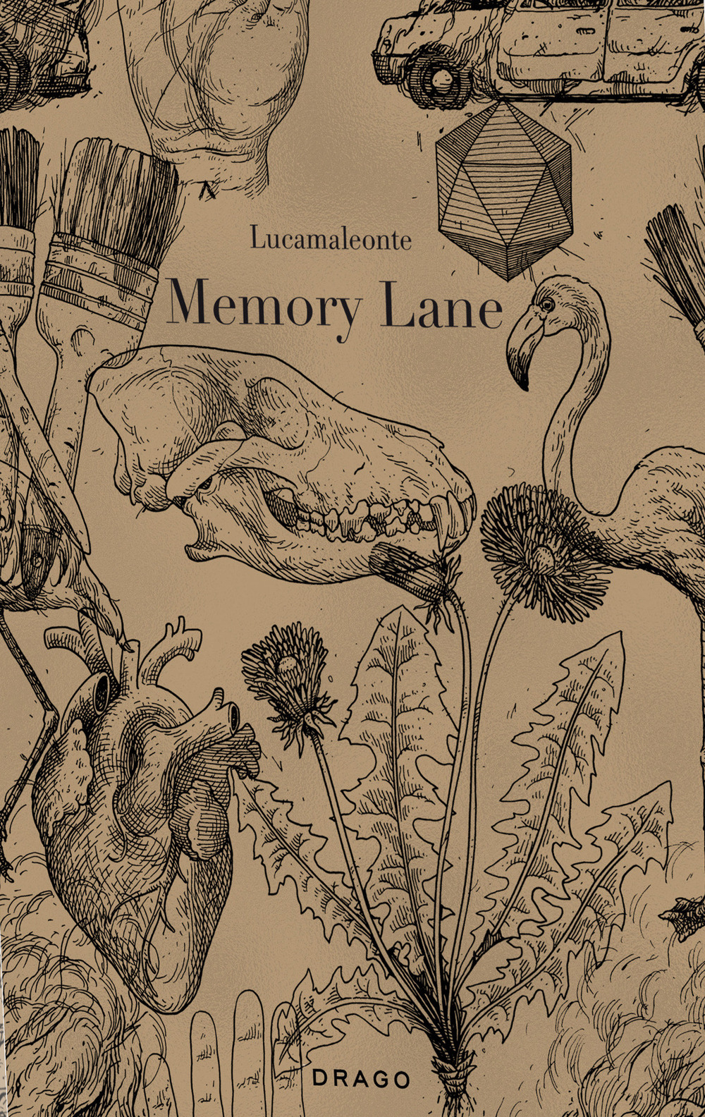 Memory Lane. Ediz. illustrata