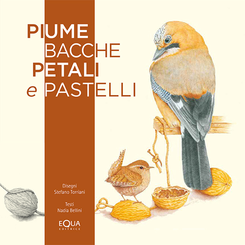 Piume bacche petali e pastelli