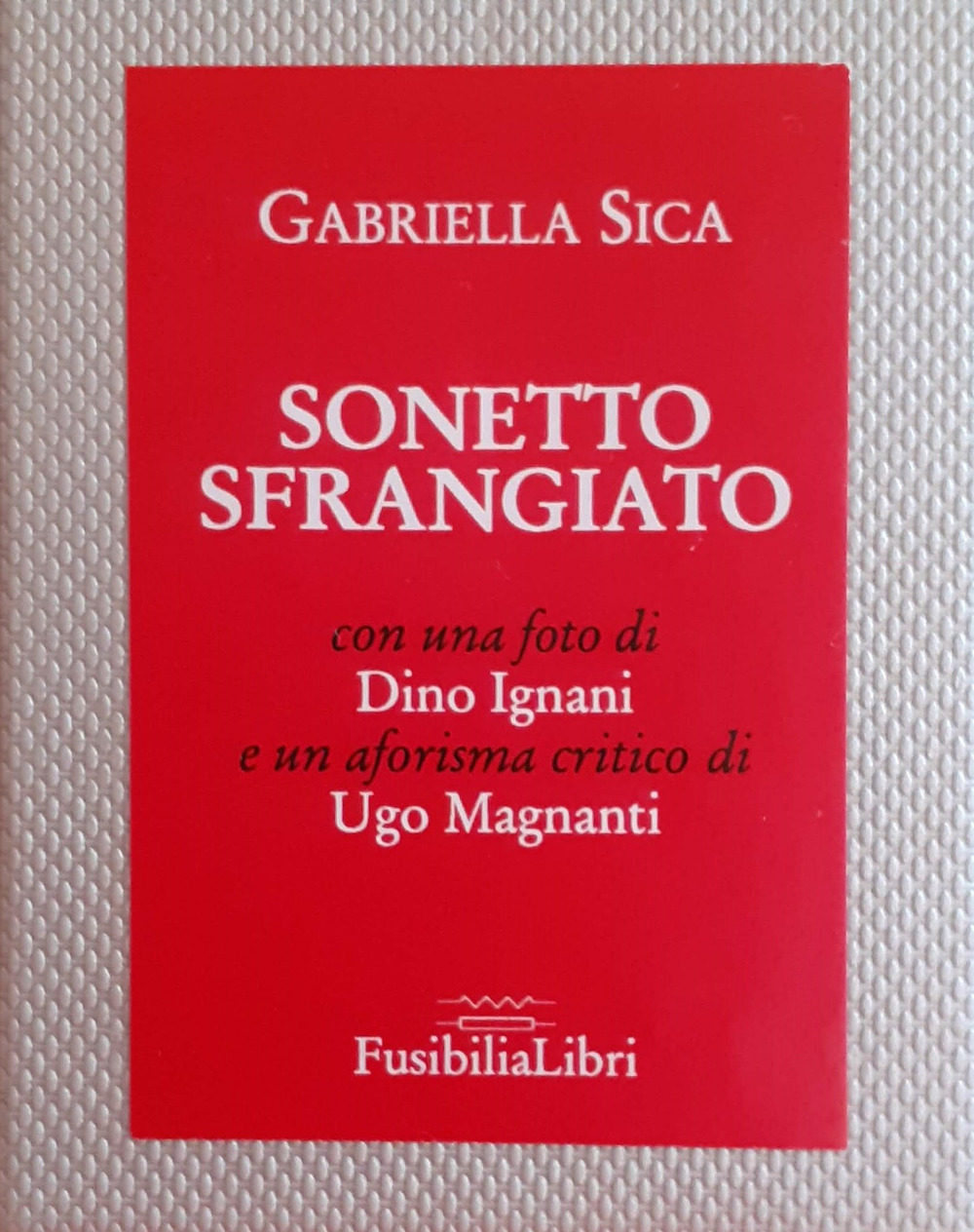 Sonetto sfrangiato. Ediz. illustrata