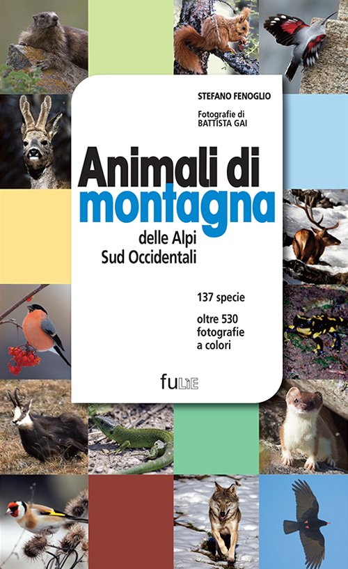 Animali di montagna delle Alpi sud occidentali. Ediz. illustrata
