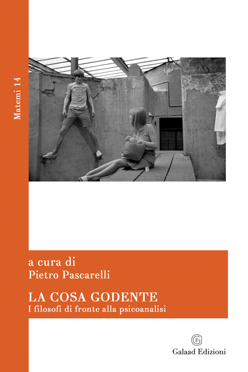 La cosa godente. I filosofi di fronte alla psicoanalisi