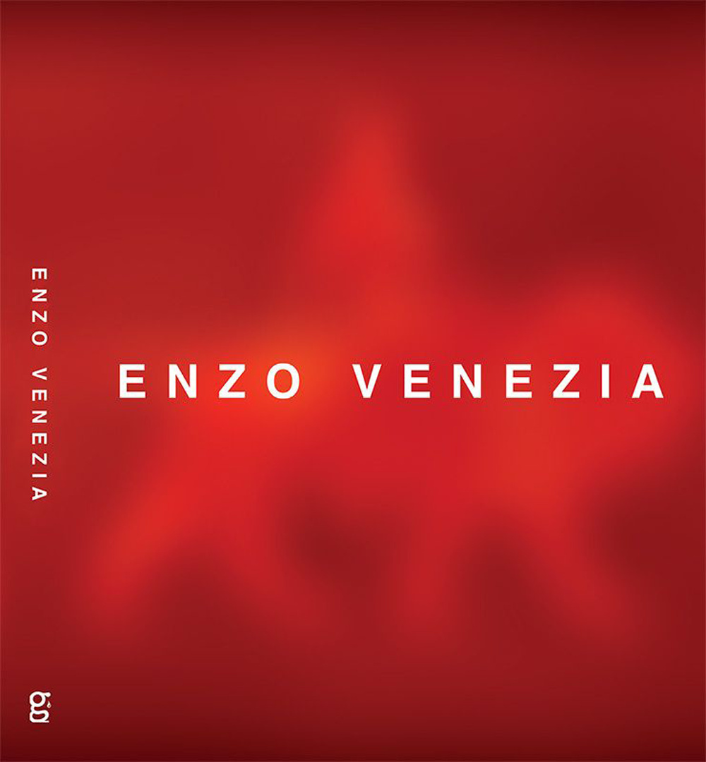 Enzo Venezia. Pitture, video, installazioni. Ediz. illustrata