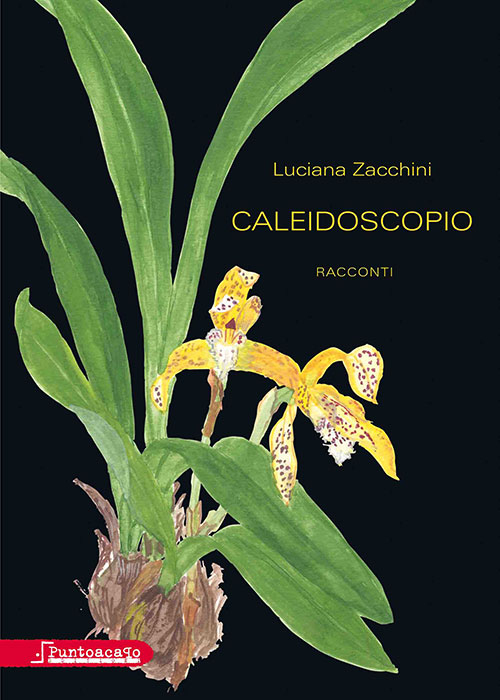 Caleidoscopio