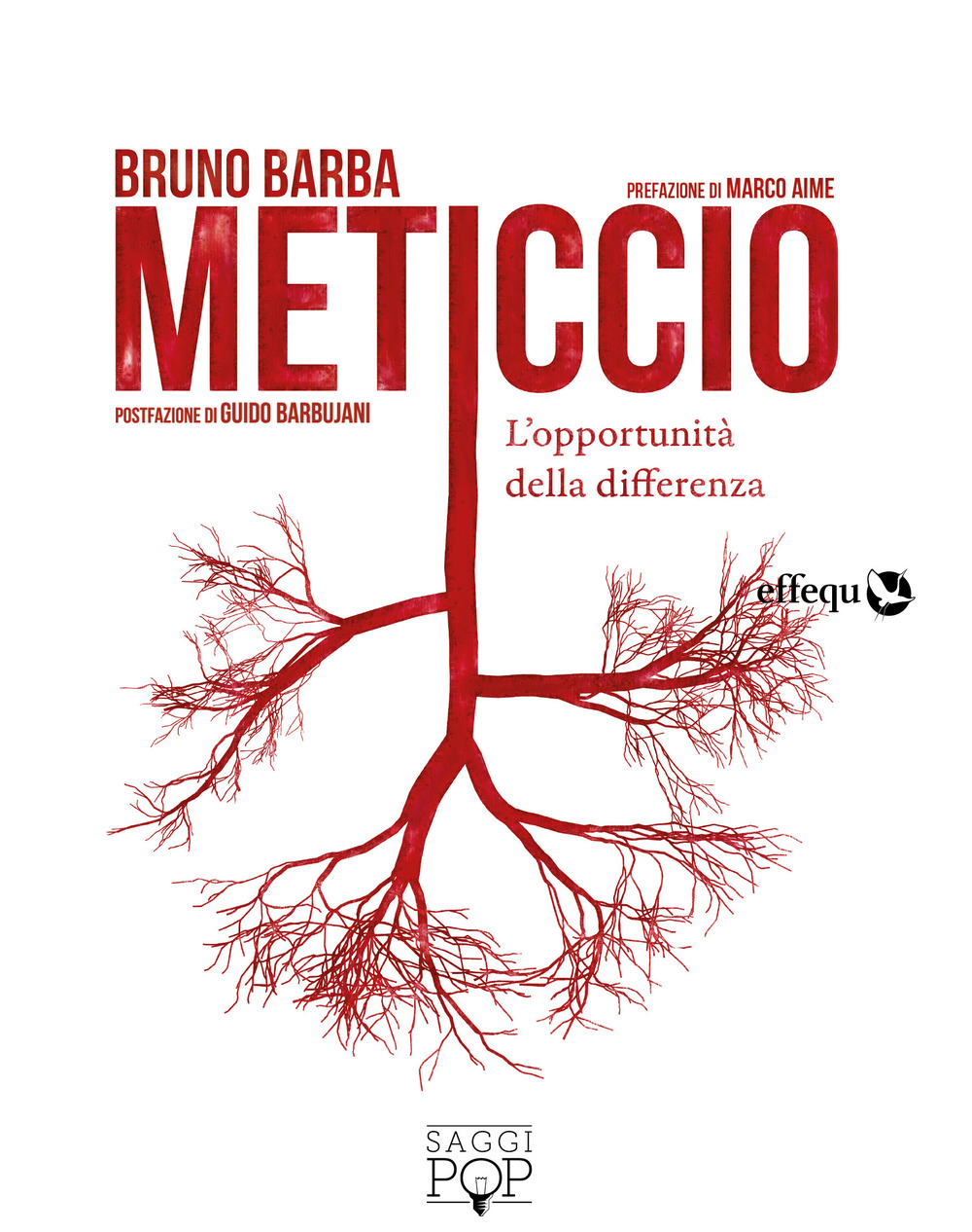 Meticcio. L'opportunità della differenza