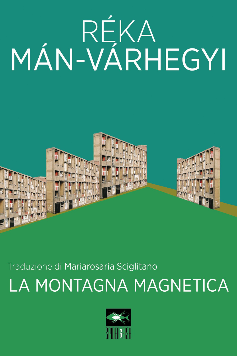 La montagna magnetica