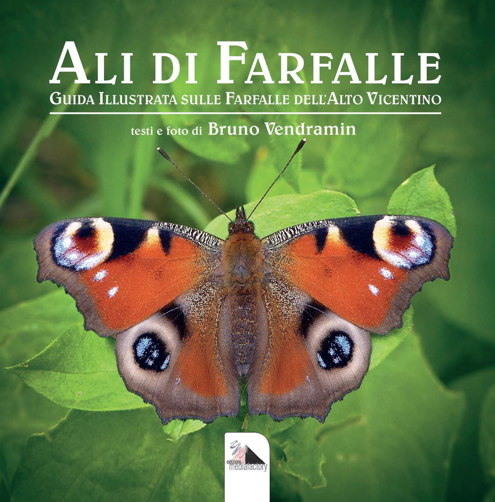 Ali di farfalle. Guida illustrata sulle farfalle del'Alto Vicentino. Ediz. a colori
