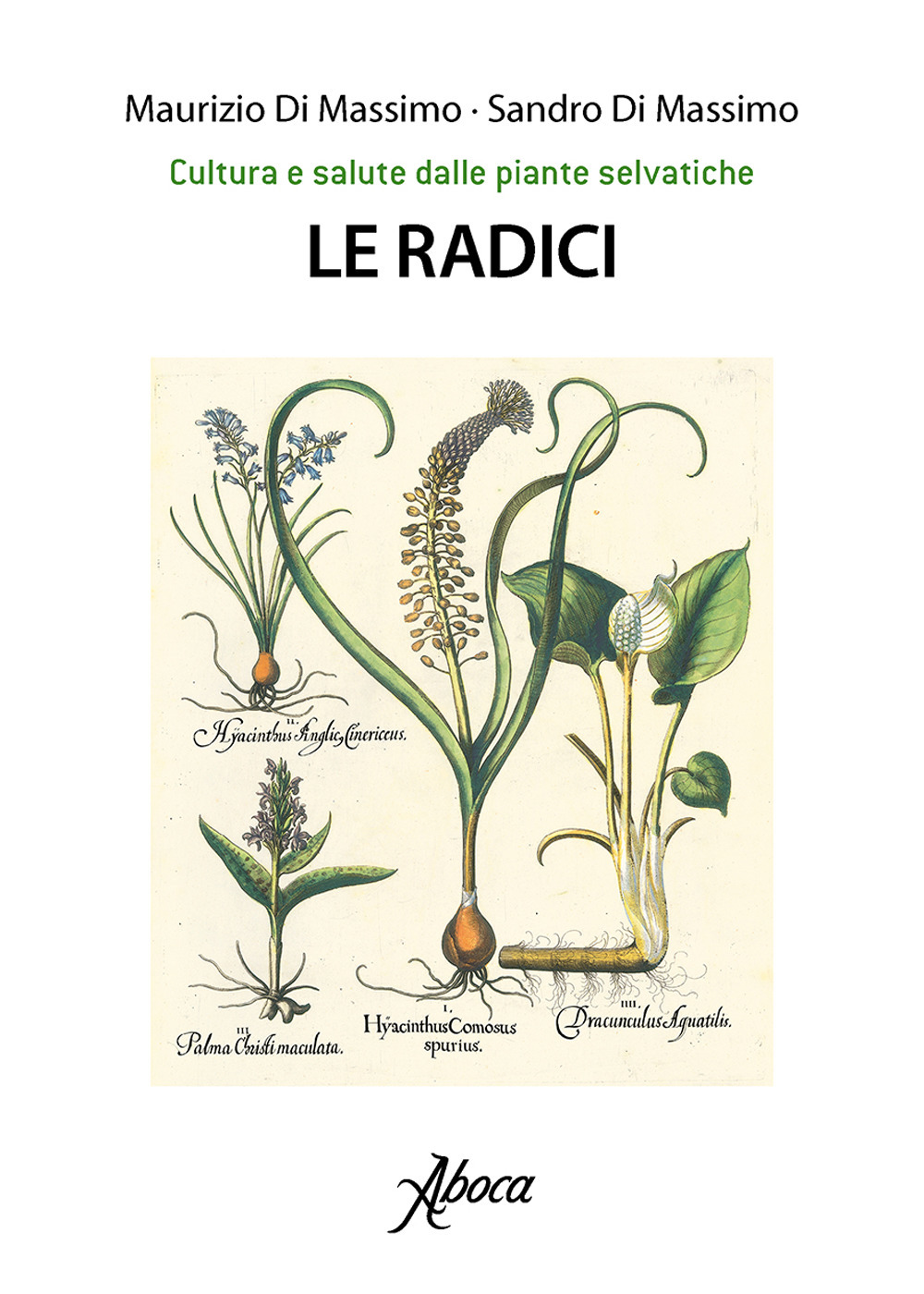 Le radici