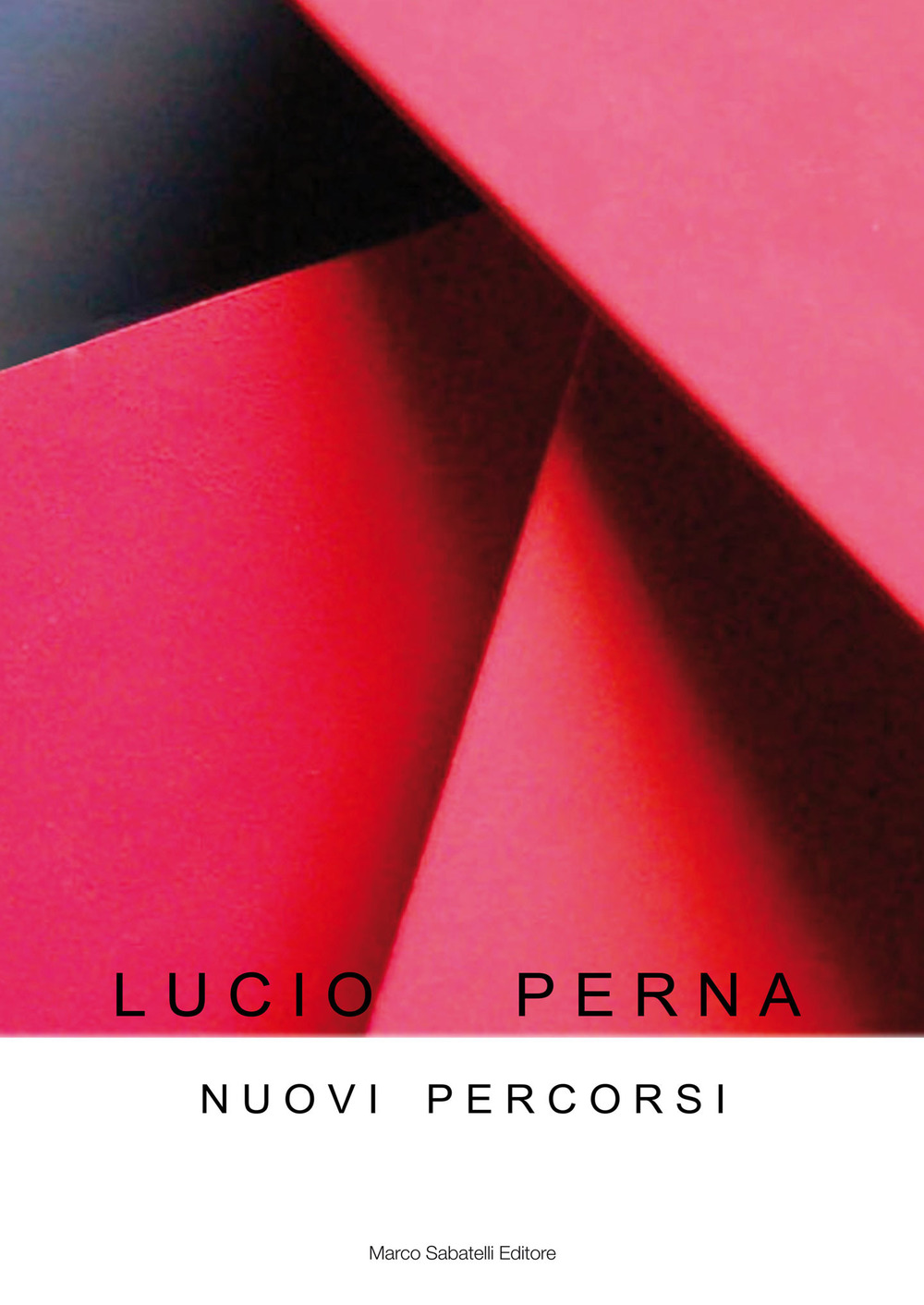 Nuovi percorsi. Lucio Perna. Ediz. illustrata