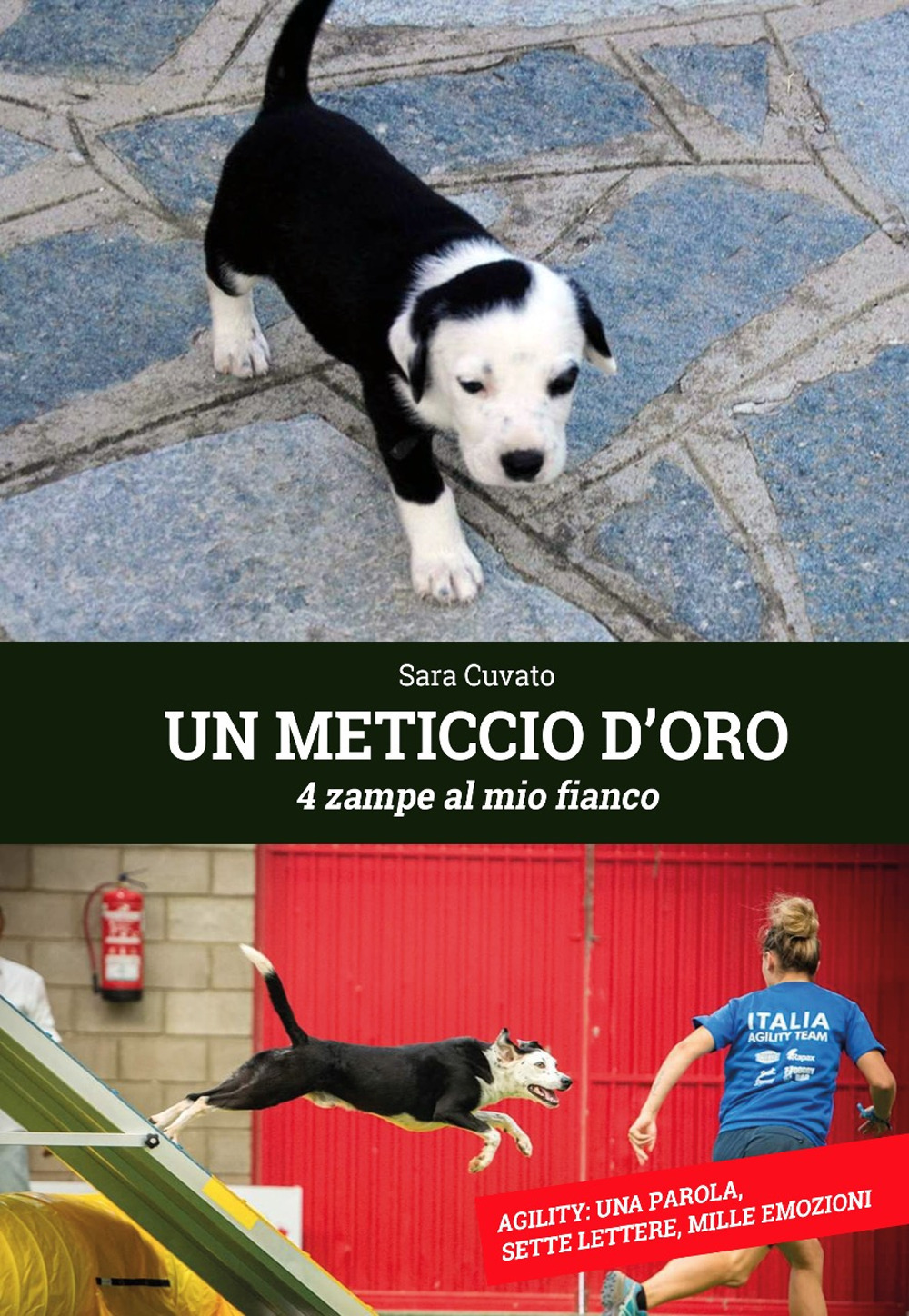 Un meticcio d'oro. 4 zampe al mio fianco. Ediz. integrale