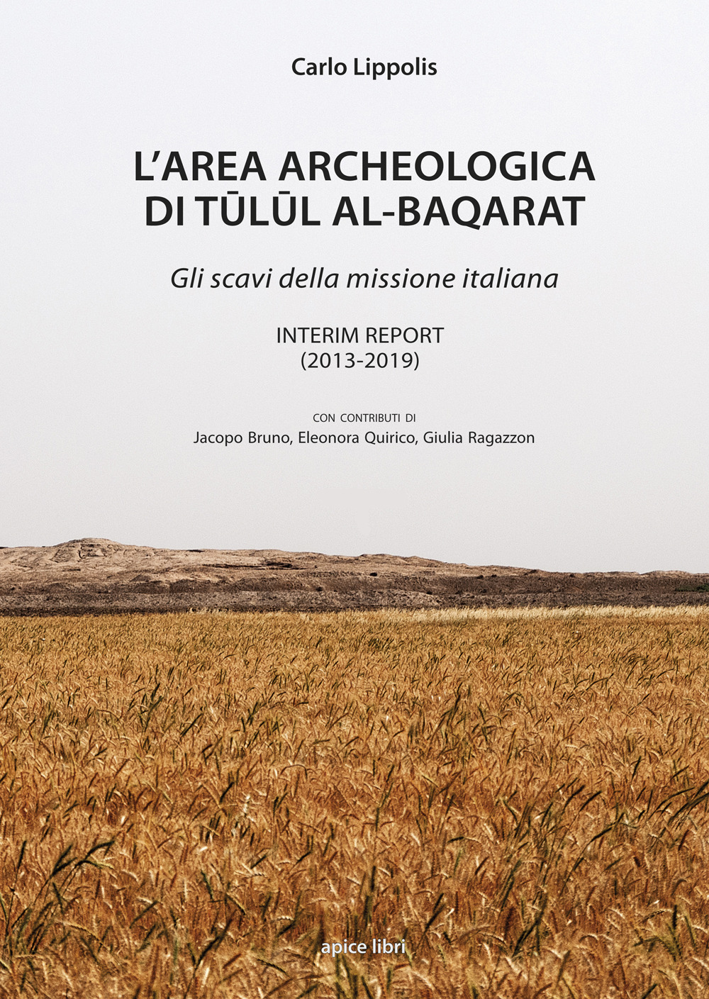 L'area archeologica di Tulul Al-Baqarat. Gli scavi della missione italiana. Interim Report (2013-2019)