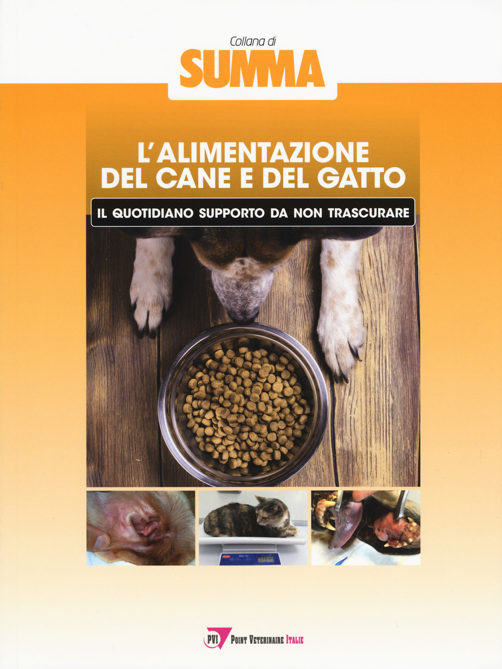 L'alimentazione del cane e del gatto: il quotidiano supporto da non trascurare