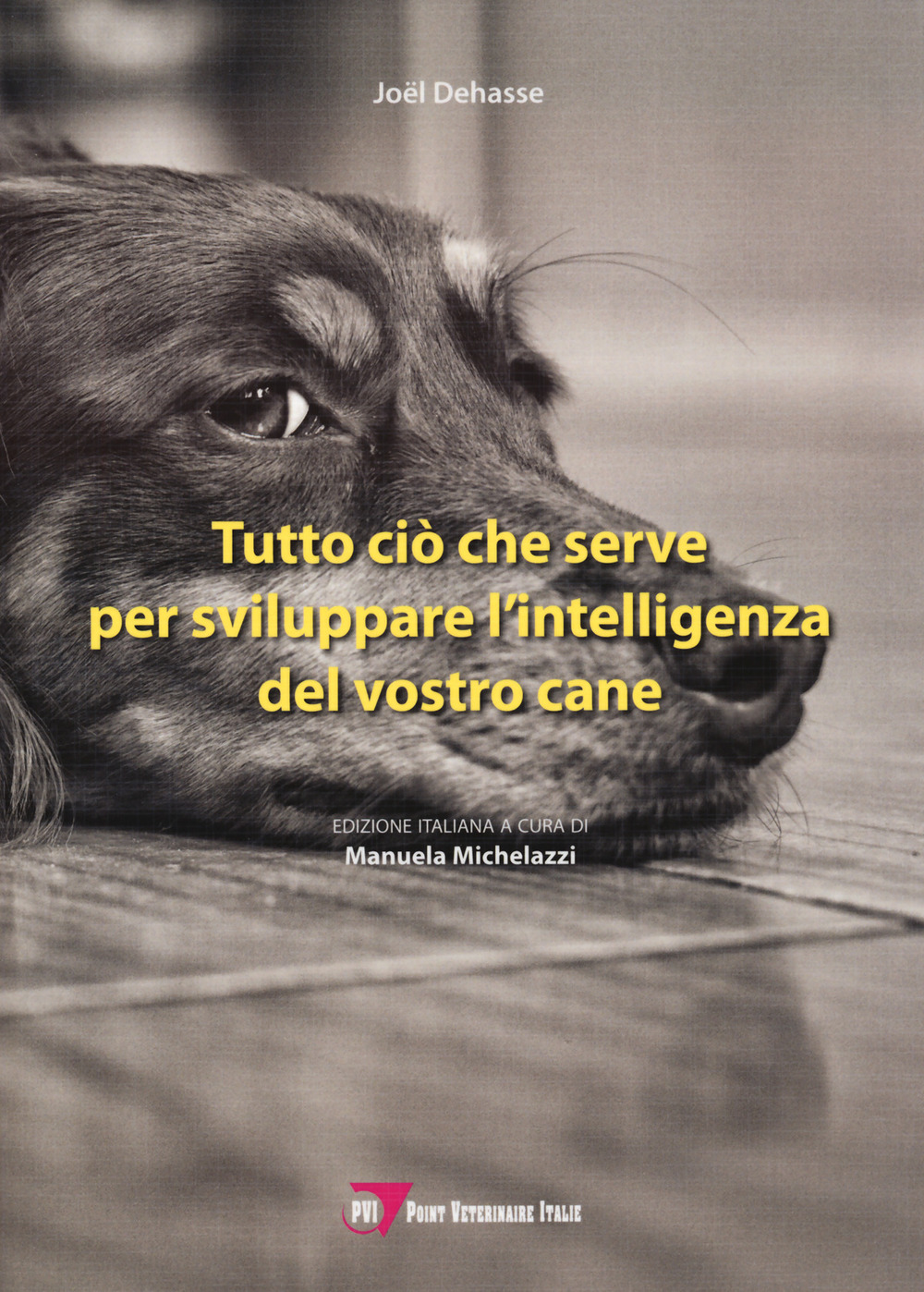 Tutto ciò che serve per sviluppare l'intelligenza del vostro cane