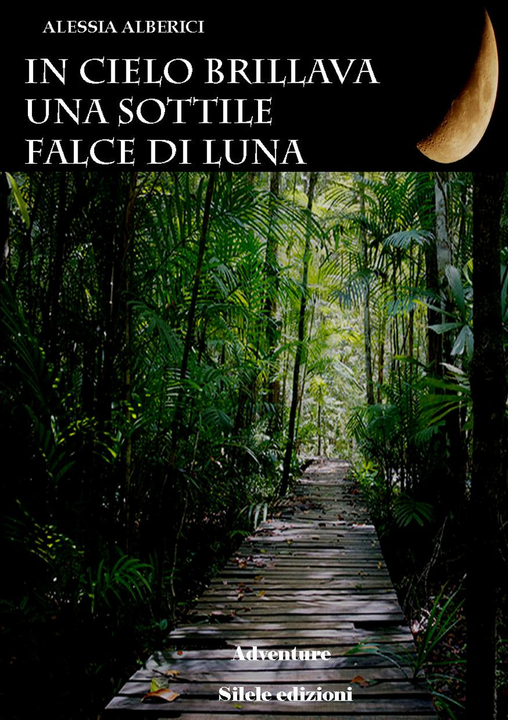 In cielo brillava una sottile falce di luna