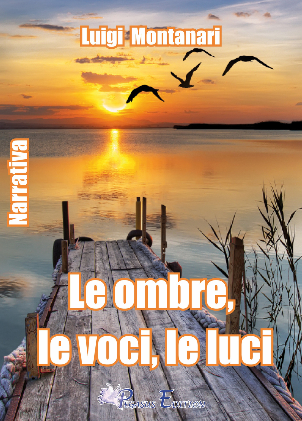 Le ombre, le luci, le voci