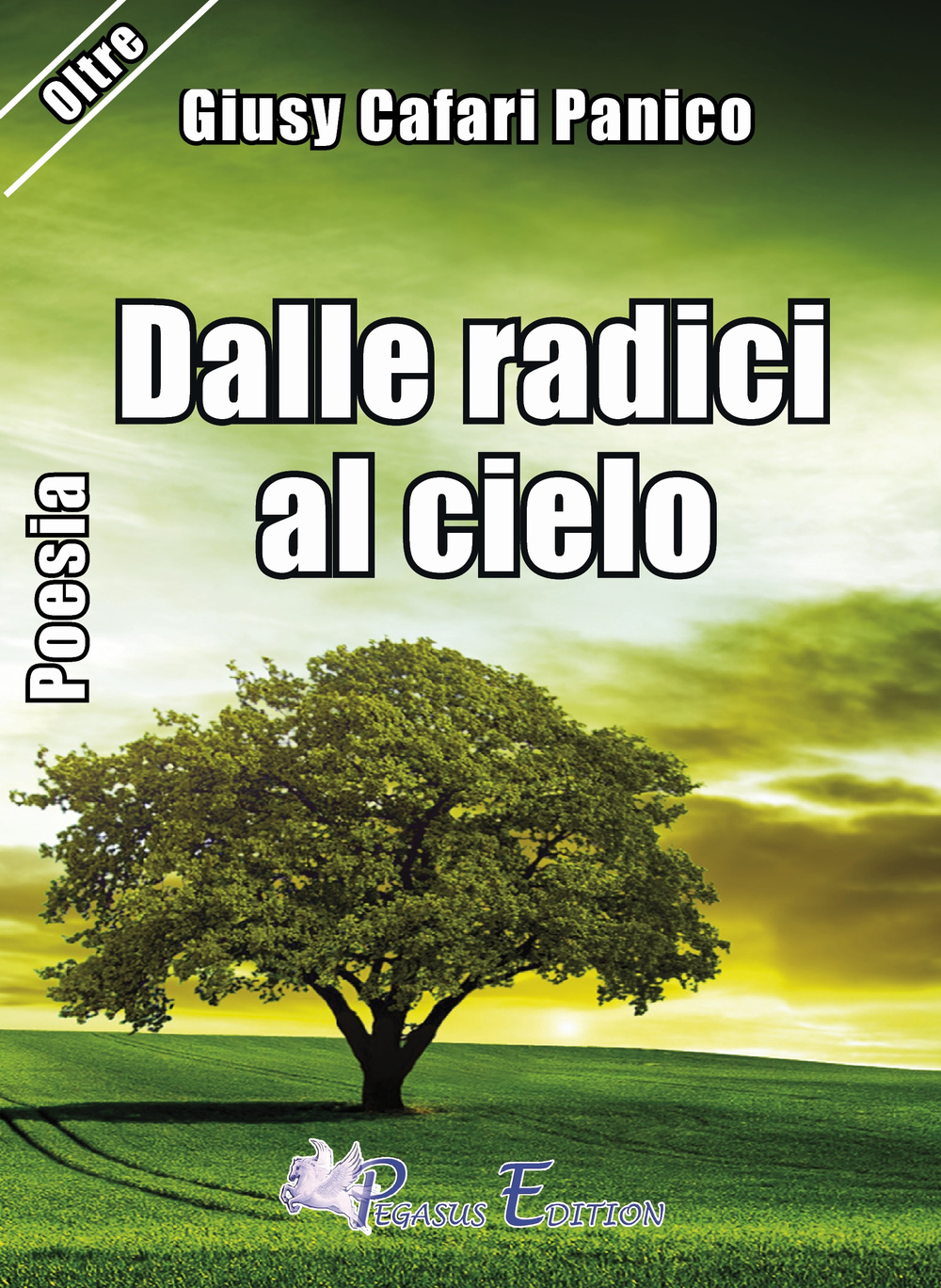 Dalle radici al cielo