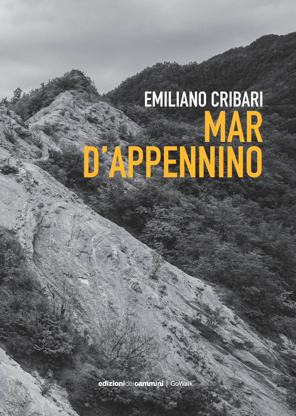 Mar d'Appennino