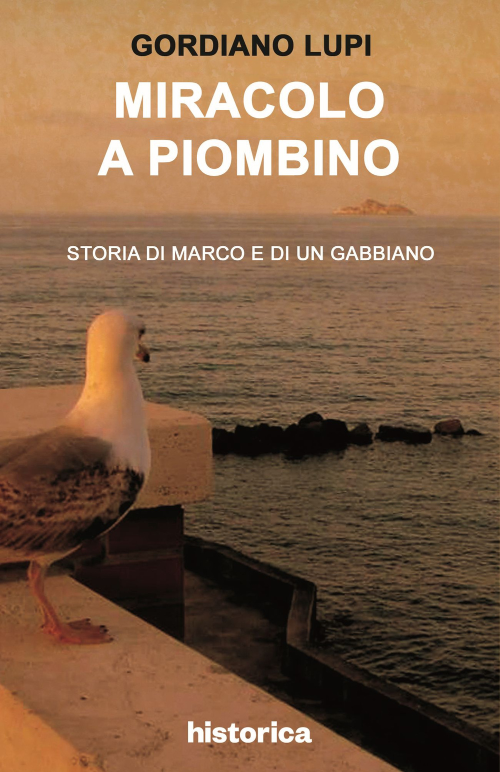 Miracolo a Piombino. Storia di Marco e di un gabbiano