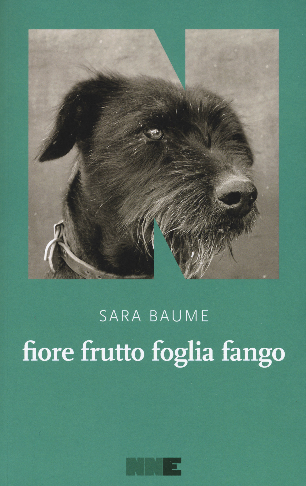 Fiore frutto foglia fango