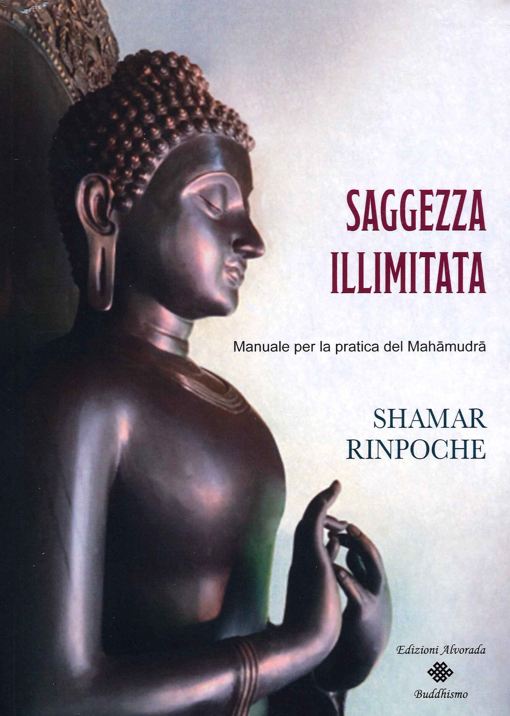 Saggezza illimitata. Manuale per la pratica del Mahàmudrà