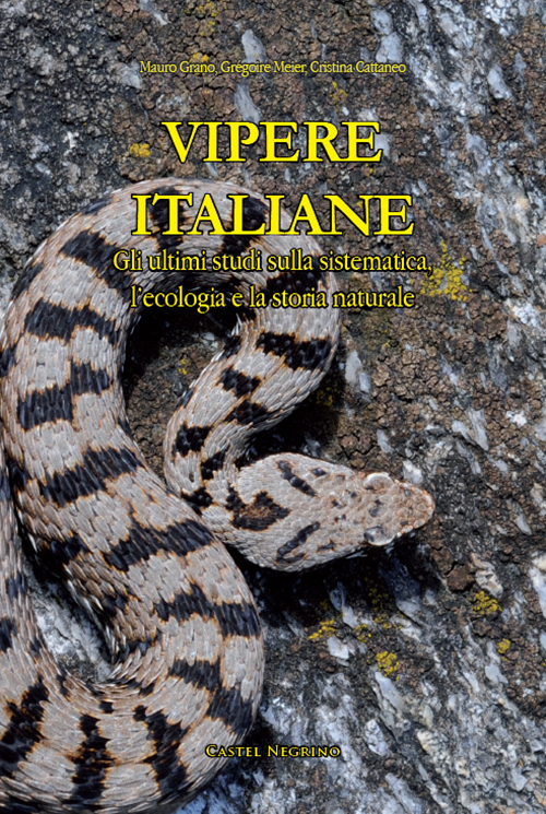 Vipere Italiane. Gli ultimi studi sulla sistematica, l'ecologia e la storia naturale. Ediz. illustrata
