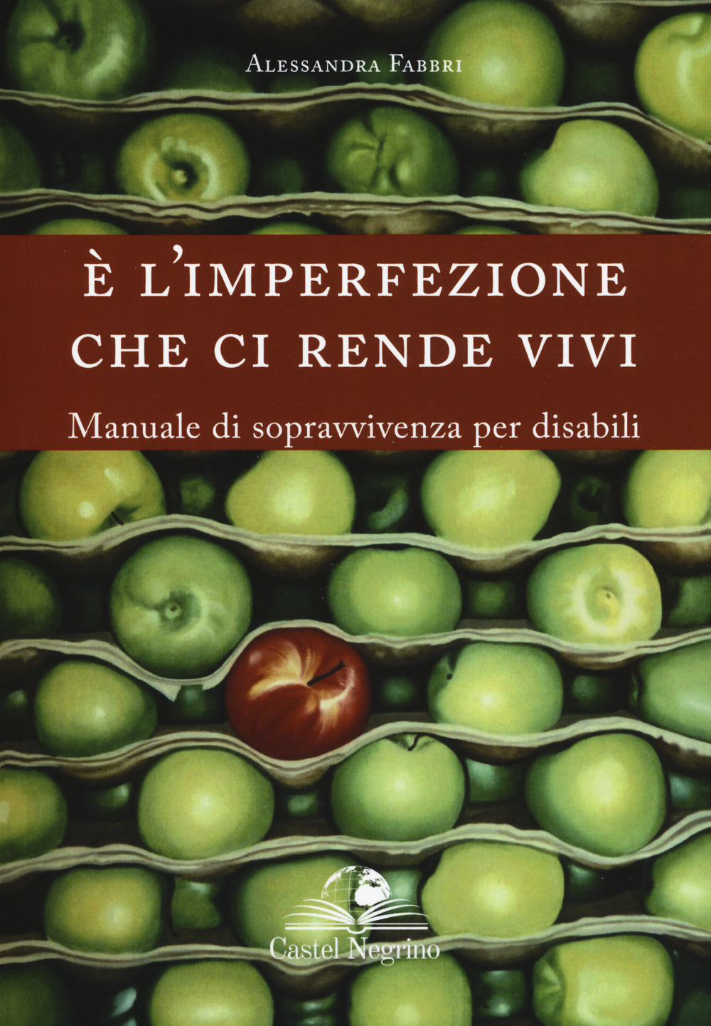 È l'imperfezione che ci rende vivi. Manuale di sopravvivenza per disabili