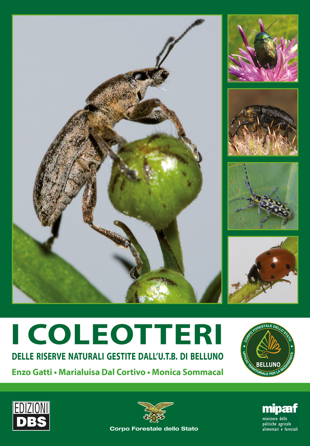 I coleotteri. Delle riserve naturali gestite dall'U.T.B. di Belluno