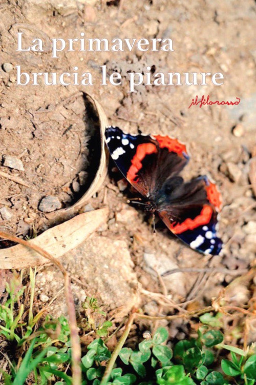 La primavera brucia le pianure