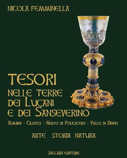 Tesori nelle terre dei Lucani e dei Sanseverino. Alburni Cilento Golfo di Policastro Vallo di Diano. Ediz. a colori