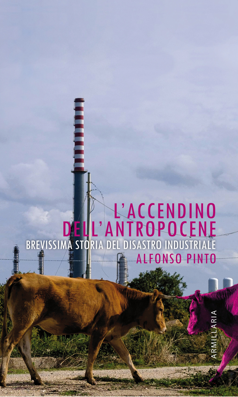 L'accendino dell'Antropocene. Brevissima storia del disastro industriale