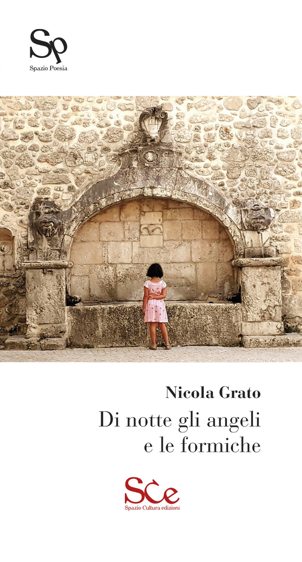 Di notte gli angeli e le formiche