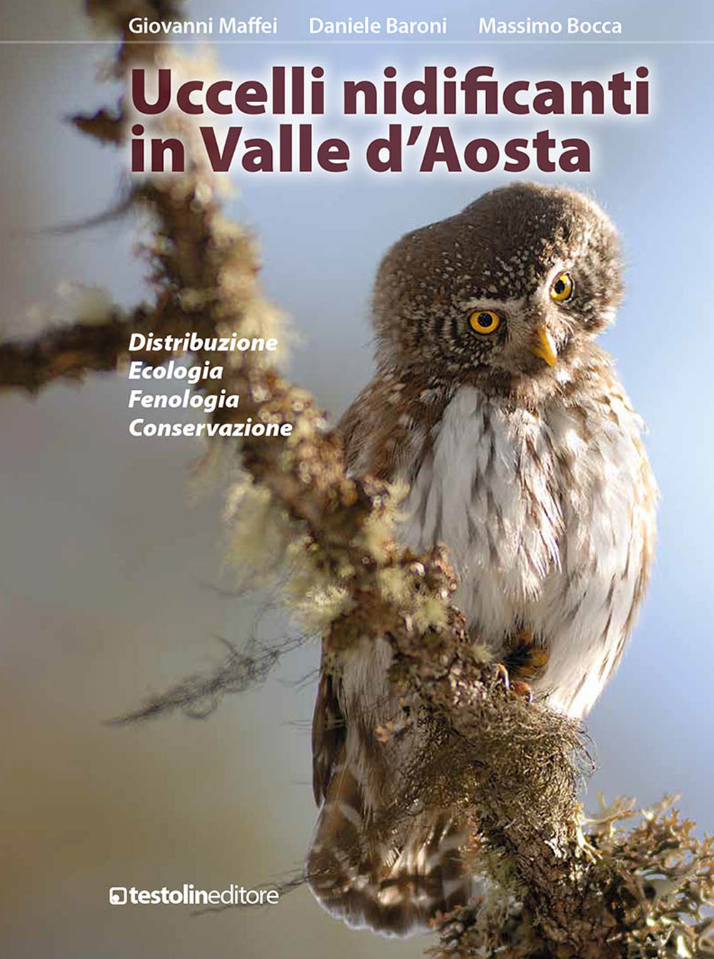 Uccelli nidificanti in Valle d'Aosta. Distribuzione ecologia fenologia conservazione. Ediz. illustrata