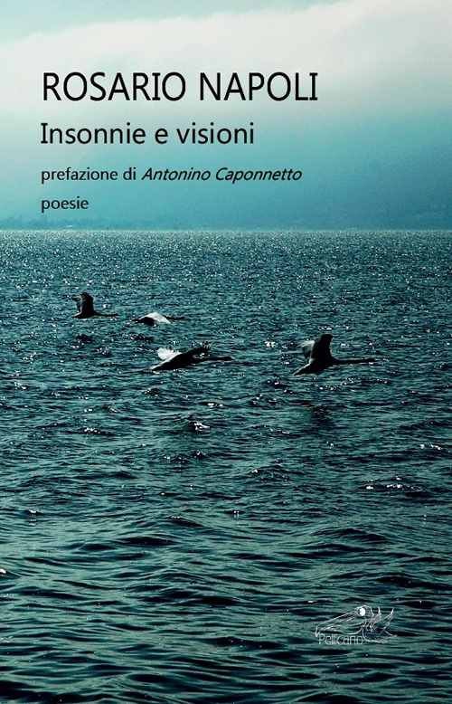 Insonnie e visioni