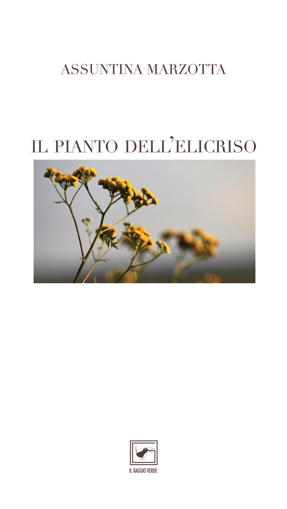 Il pianto dell'elicriso