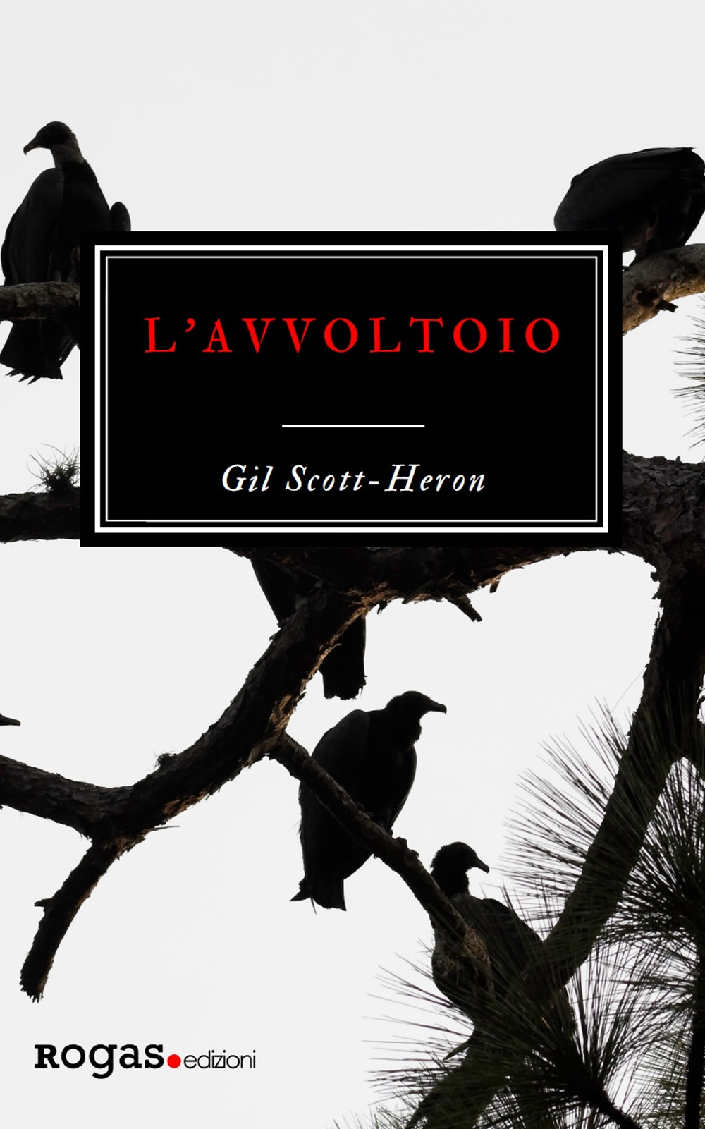 L'avvoltoio