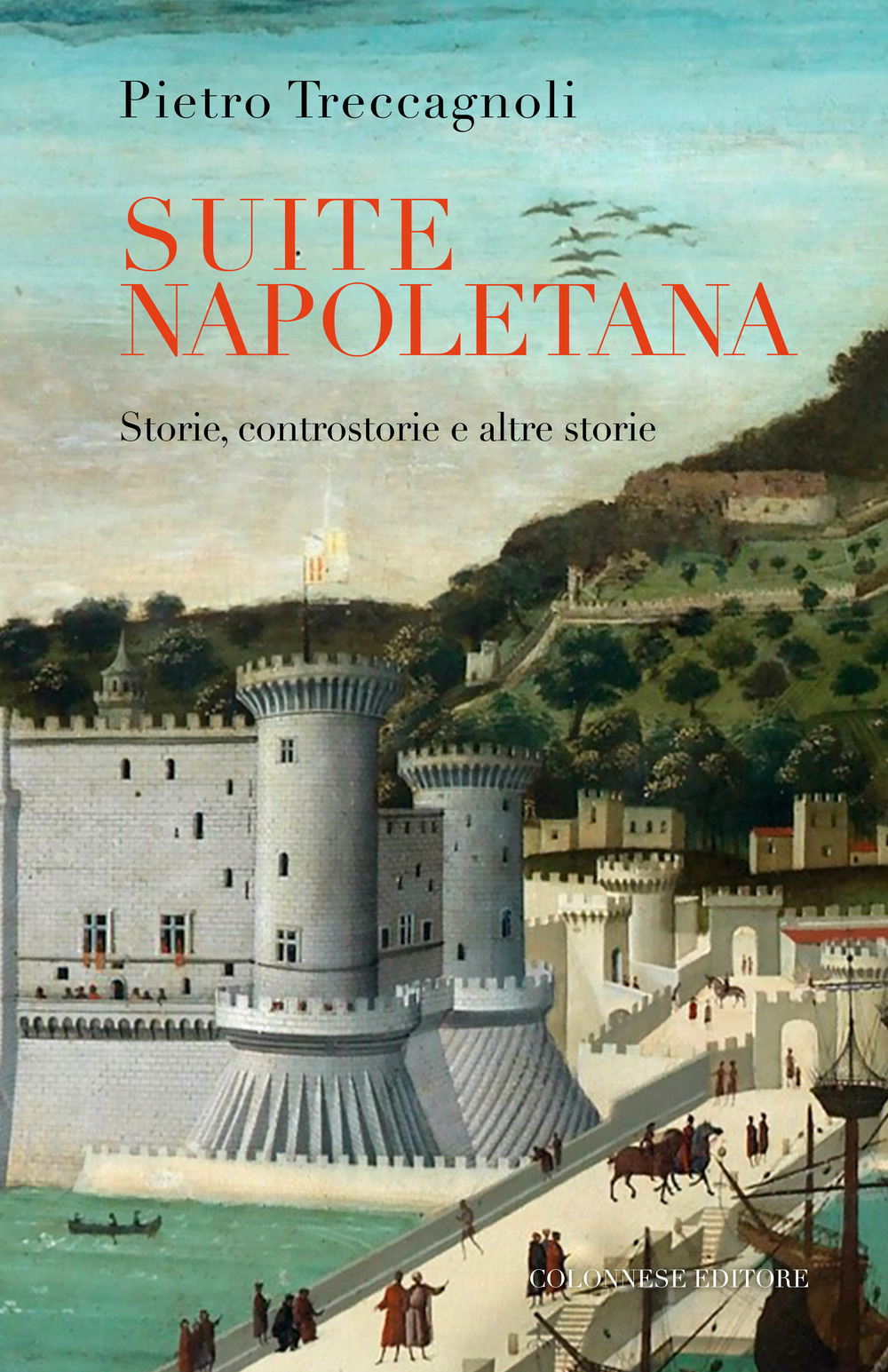 Suite napoletana. Storie, controstorie e altre storie