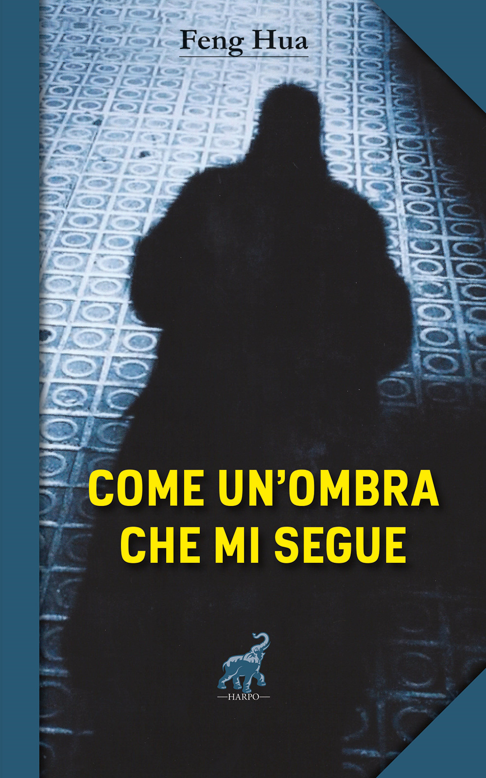 Come un'ombra che mi segue