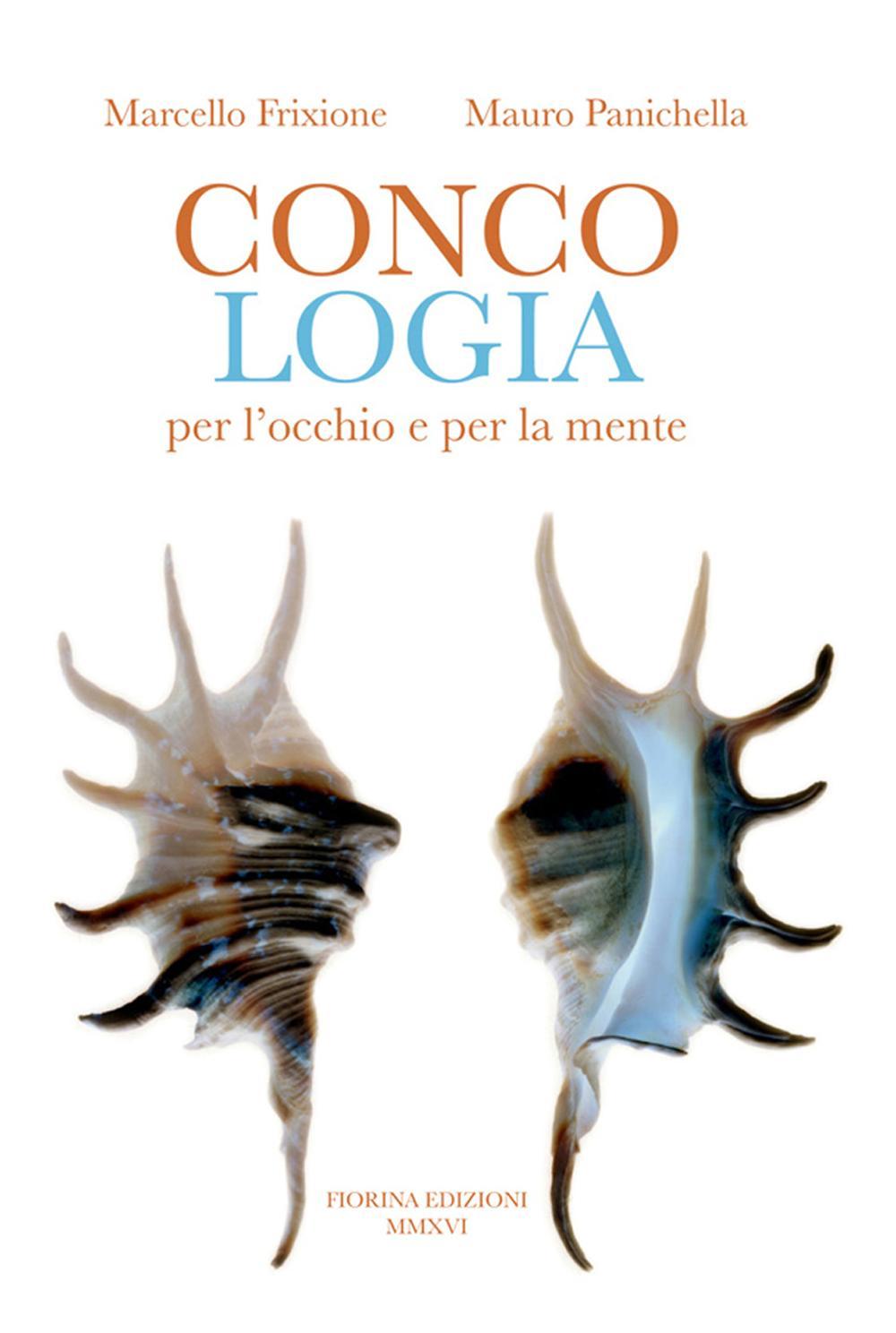 Concologia per l'occhio e per la mente