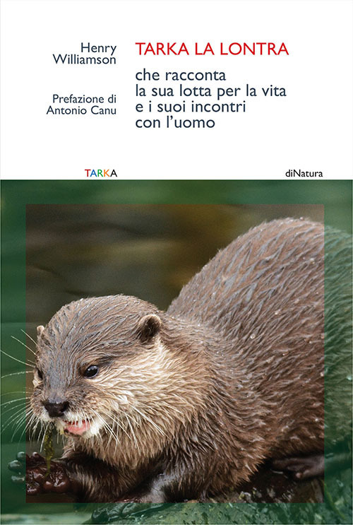 Tarka la lontra che racconta la sua lotta per la vita e i suoi incontri con l'uomo