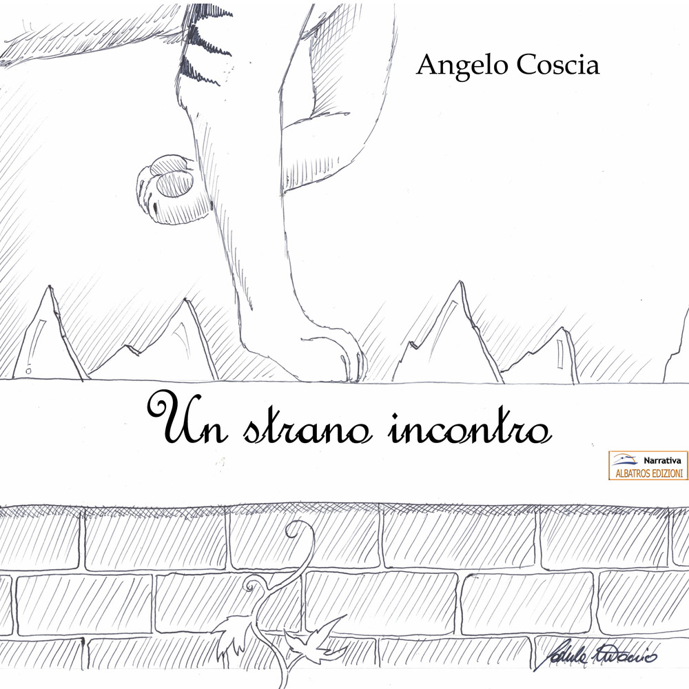 Uno strano incontro