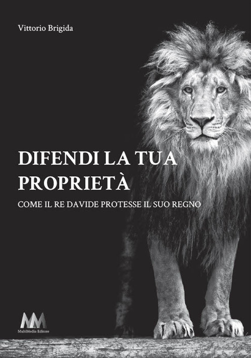 Difendi la tua proprietà. Come il re Davide protesse il suo regno. Ediz. ridotta